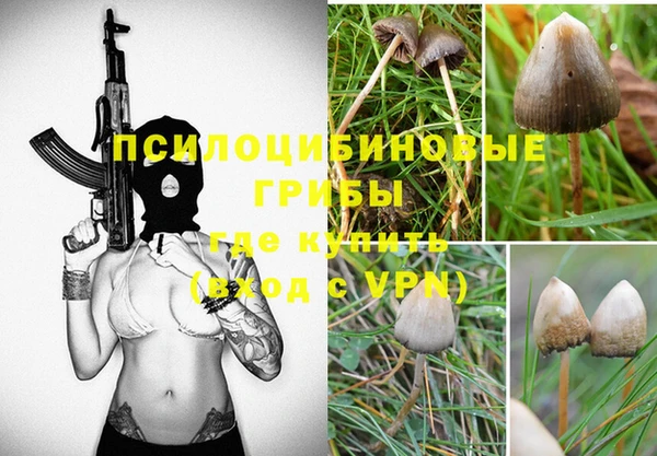 каннабис Абаза