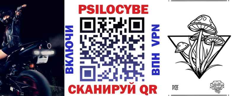Псилоцибиновые грибы Psilocybe  купить наркотик  МЕГА ссылка  Ипатово 